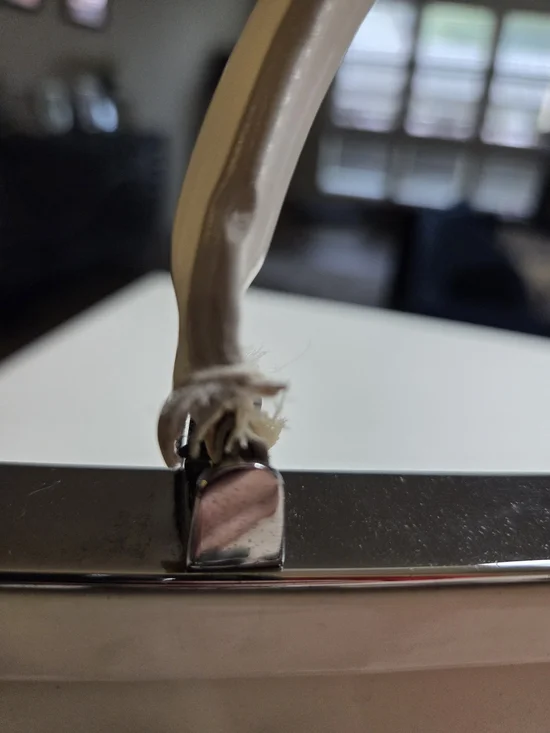 Prada White Doctor Bag with Black Floral Appliqués - Fall 2012 - Picture 6 of 16